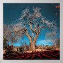 Pesquisar por raiz quadrada pôsteres Árvore