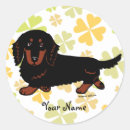 Pesquisar por desenho cabelo adesivos Doxie