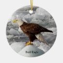 Pesquisar por eagle ornamentos Animal