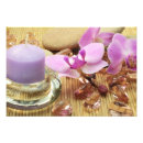 Pesquisar por flor da orquídea pósteres pôsteres Zen