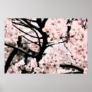 Pesquisar por flor japonesa pôsteres Flora
