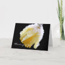 Pesquisar por narciso cartoes Daffodil