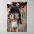 Pesquisar por allende pôsteres Guanajuato