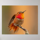 Pesquisar por passarinho pósteres pôsteres Qualquer pessoa