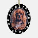 Pesquisar por animal paw ornamentos Qualquer pessoa