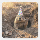 Pesquisar por tatu adesivos Aniversário