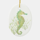 Pesquisar por cavalo marinho ornamentos Animais marinhos