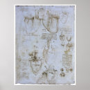 Pesquisar por anatomia do coração pôsteres Artérias