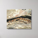 Pesquisar por cobra impressão de canvas Natureza