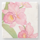 Pesquisar por exótico porta copos Verde