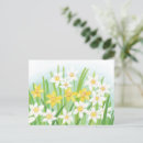 Pesquisar por narciso cartoes Primavera