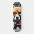 Pesquisar por raposa skates Animal