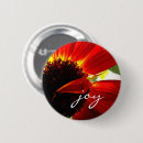 Pesquisar por gerberas botons Margarida