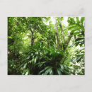 Pesquisar por dominican cartoes postais Tropical