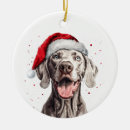 Pesquisar por cão weimaraner ornamentos Cachorro