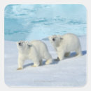 Pesquisar por ursus adesivos Animal