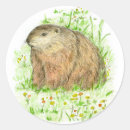 Pesquisar por desenhos animais adesivos Qualquer pessoa