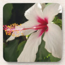 Pesquisar por hibiscus porta copos Flores