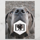 Pesquisar por imagens flyers Fotografia