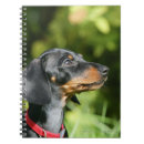 Pesquisar por filhote cachorro preto cadernos de notas Prumo e pam langrish