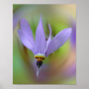 Pesquisar por macro da flor Mother
