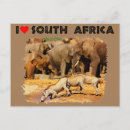 Pesquisar por warthog cartoes postais Animal