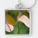 Pesquisar por hawaii chaveiros Rosa