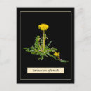 Pesquisar por imagens florais cartoes postais Floral