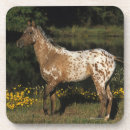 Pesquisar por cavalo appaloosa porta copos Estar