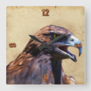 Pesquisar por pássaro rapina relogios de parede Águia americana