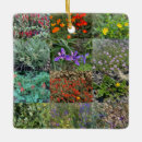 Pesquisar por nativa ornamentos Eua