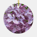 Pesquisar por florescência ornamentos Jardim