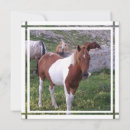 Pesquisar por pôneis convites Equestre