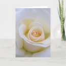 Pesquisar por engagement cartoes Rose