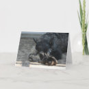 Pesquisar por cartão schnauzer cartoes Saudação