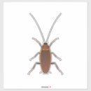 Pesquisar por pragas adesivos Inseto