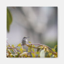 Pesquisar por plantas de jardim imas Fotografia
