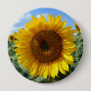 Pesquisar por sunflower botons Verão