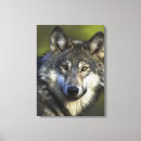 Pesquisar por lobo pintura impressão de canvas Lobos
