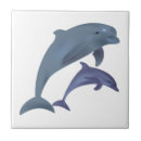 Pesquisar por golfinhos azulejos Peixes