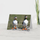 Pesquisar por puffin cartoes Birds