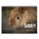 Pesquisar por coelho calendarios Animal de estimação