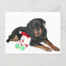 Pesquisar por rottweiler natal cartoes Animal