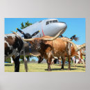 Pesquisar por c 47 pôsteres Dc 3