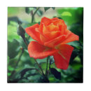 Pesquisar por da natureza azulejos Verde