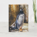 Pesquisar por antártica cartoes Pinguim