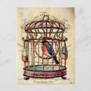 Pesquisar por birdcage cartoes postais Passadeira