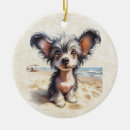 Pesquisar por chineses com ornamentos Cão