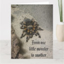 Pesquisar por aracnídeos cartoes Engraçado