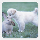 Pesquisar por rabbit adesivos Natureza